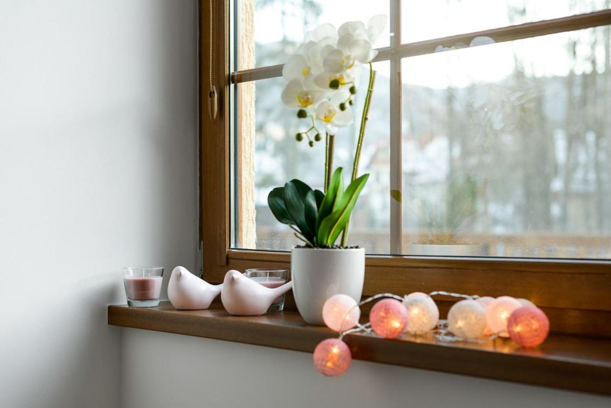 Apartament Lux-Nadrzeczna 5 Minut Od Deptaka Karpacz Esterno foto